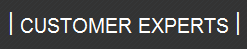   CUSTOMER EXPERTS CONSULTING GMBH